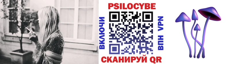Псилоцибиновые грибы мицелий  гидра tor  Мглин 